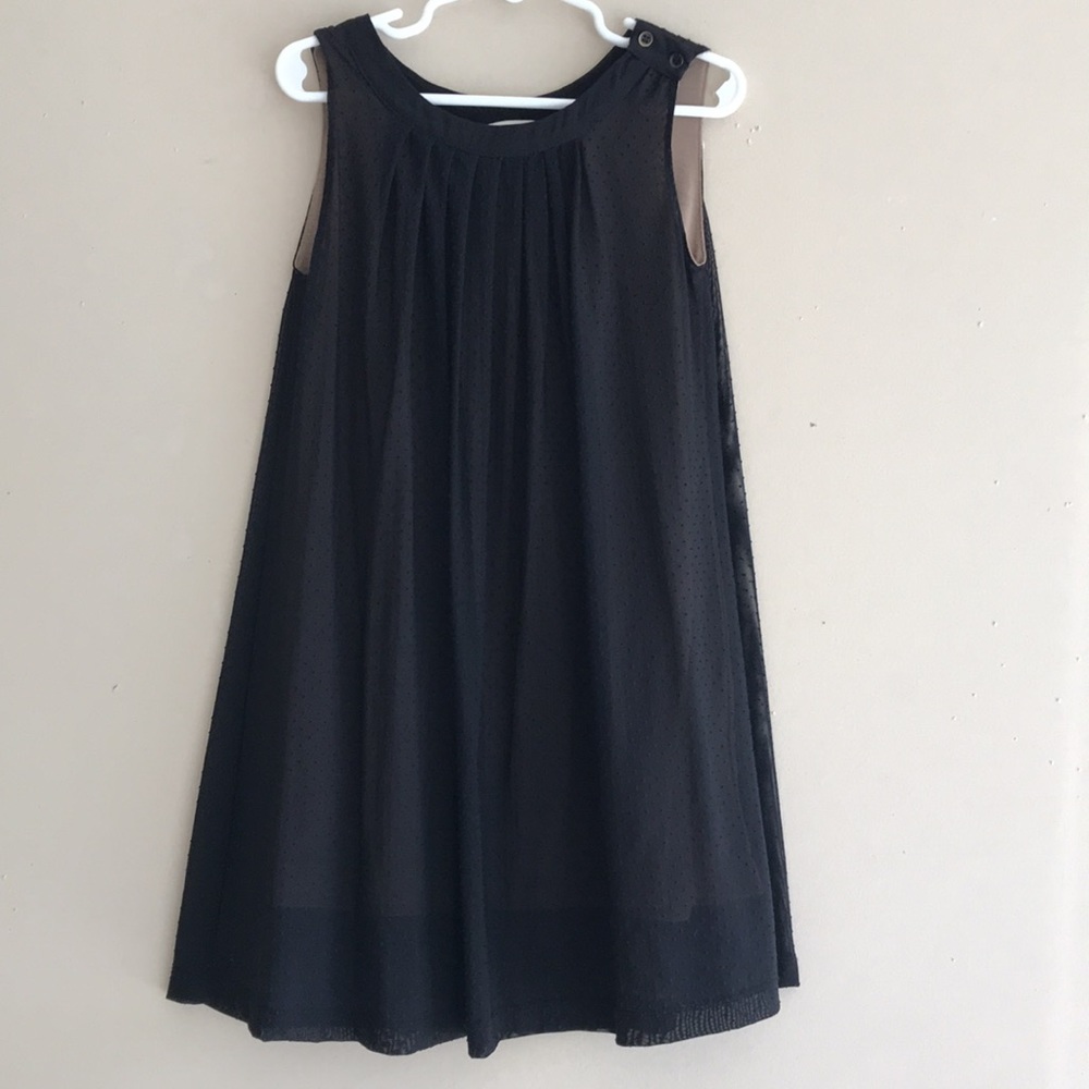 Zara flocked Swiss dot netting dress